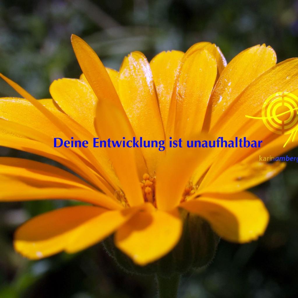 gemeinsam auf dem Weg der Liebe