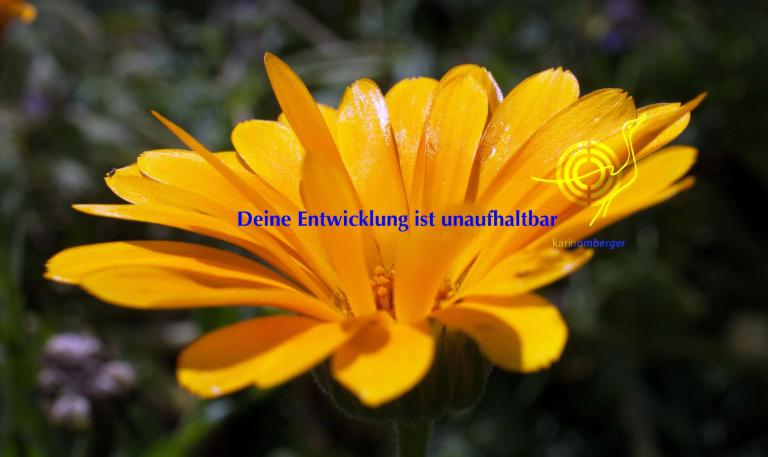 gemeinsam auf dem Weg der Liebe