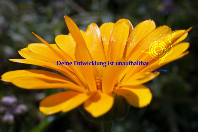 heilsame Abende und Tage